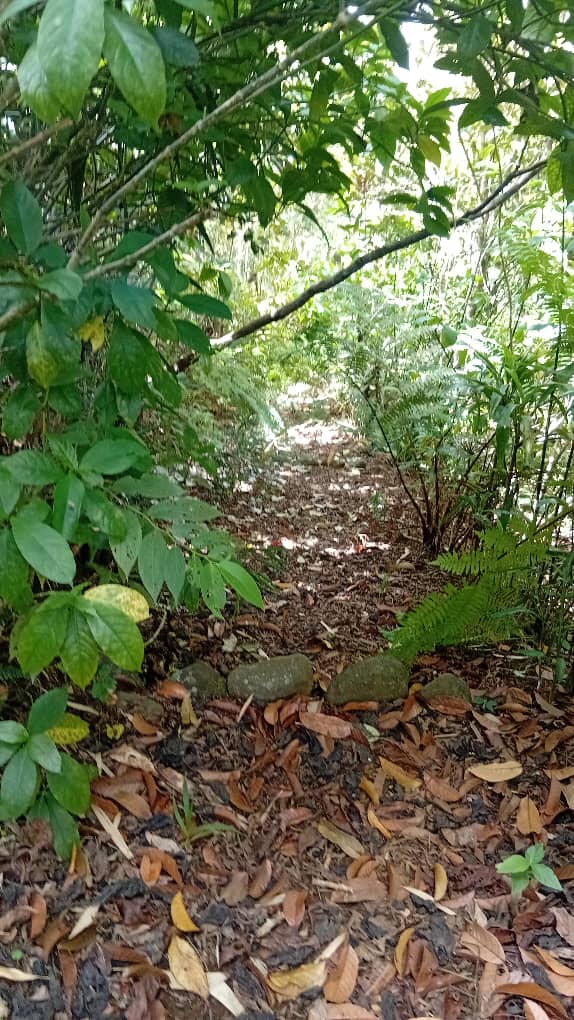 Kulkie United Tourism and Cultural Center10