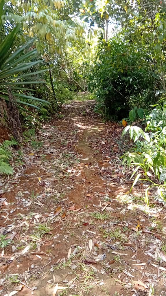 Kulkie United Tourism and Cultural Center11