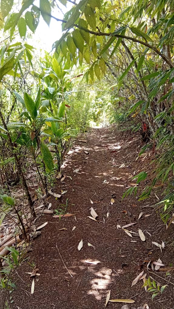 Kulkie United Tourism and Cultural Center12