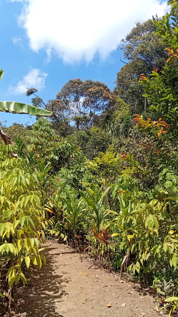 Kulkie United Tourism and Cultural Center7