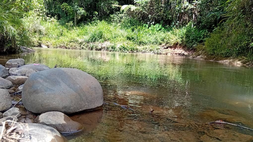 Natural Swimming Pool