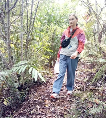 Tourist Tracking Cropped